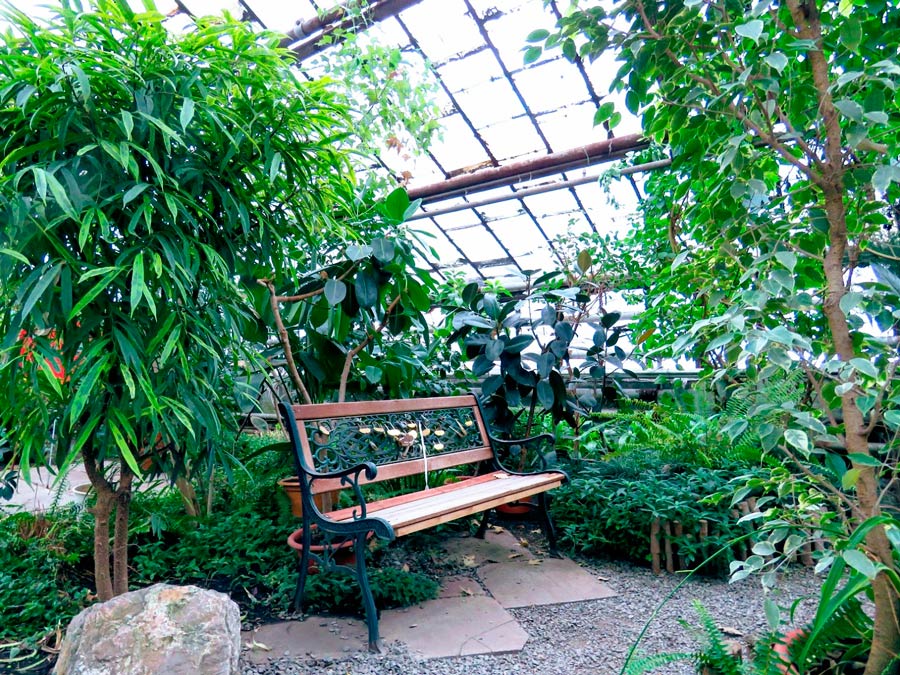Ботанический сад Забайкалья
