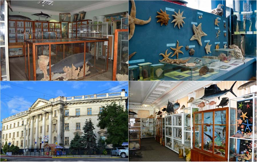 Музей Океанографии и рыбного хозяйства