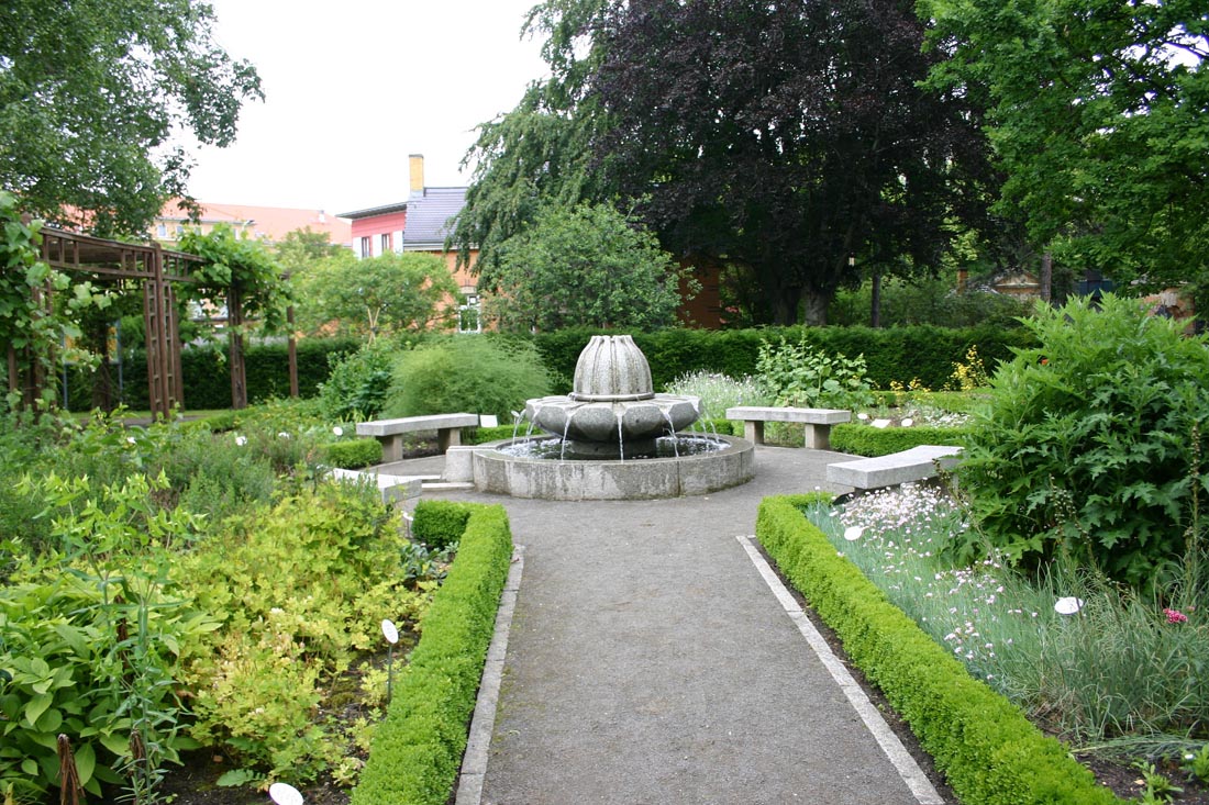 ботанический сад в берлине